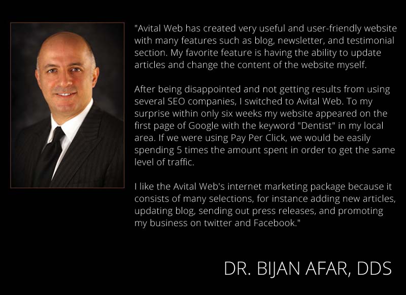seo company los angeles bijan large